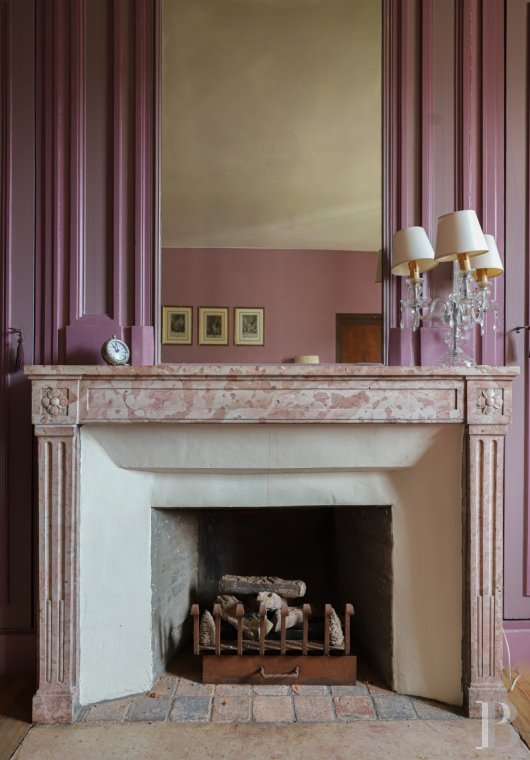 A chateau affiliated with Burgundy's greatest vineyards and permaculture to the south of Beaune - photo  n°15